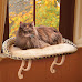 7 Best Cat Window Perches for Large Cats in The US